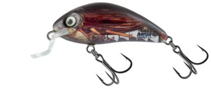 Salmo Wobler Rattlin Hornet Sinking Real Cockchafer - 4