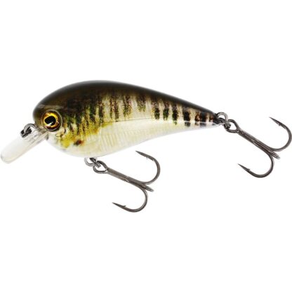 Westin Wobler BassBite 2.5 Squarebill Floating 7cm Barva: Real Minnow