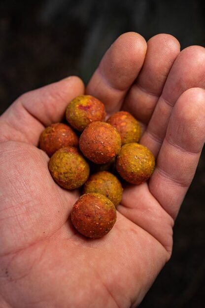 Chytil Master Carp Boilies 16 mm 250 g - Amur