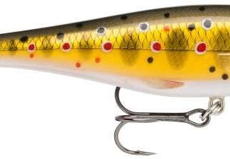 Rapala Wobler BX Minnow 10 cm Barva: BX Minnow 10 TR