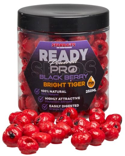 Starbaits Tygří ořech Bright Ready Seeds Pro 250ml - Blackberry