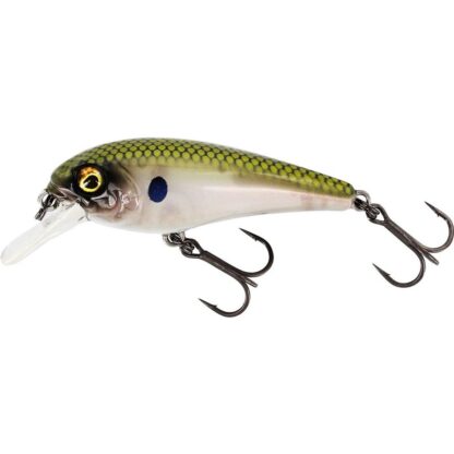 Westin Wobler BullyBite Crankbait Floating Green Ghost - 9g  6cm