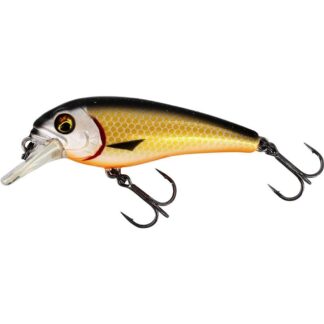 Westin Wobler BullyBite Crankbait Floating Official Roach - 9g  6cm